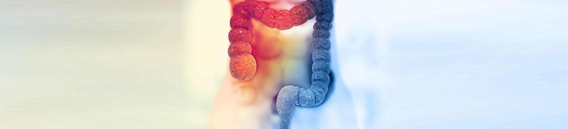 La chirurgie du colon et du rectum