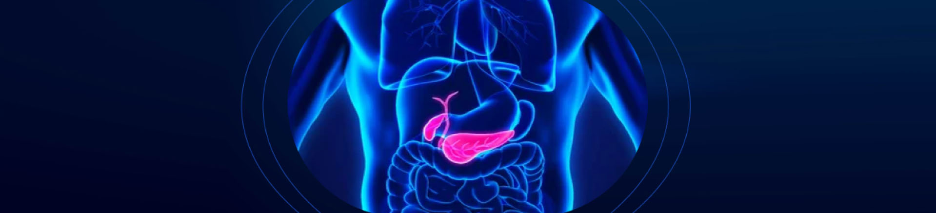 Tumeurs du foie, Kyste hydatique, Cancer du pancréas, Lithiase vésiculaire